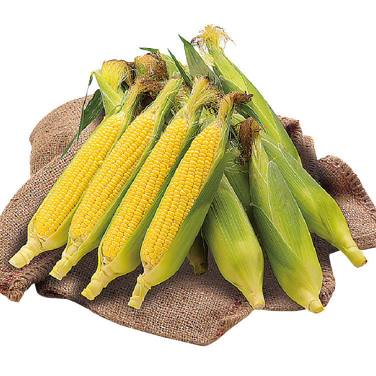 YELLOW CORN ★絶版品★ BIGPACK YE-12【イエローコーン】 楽天市場】イエローコーン ジャケット（バイク用品｜車用品