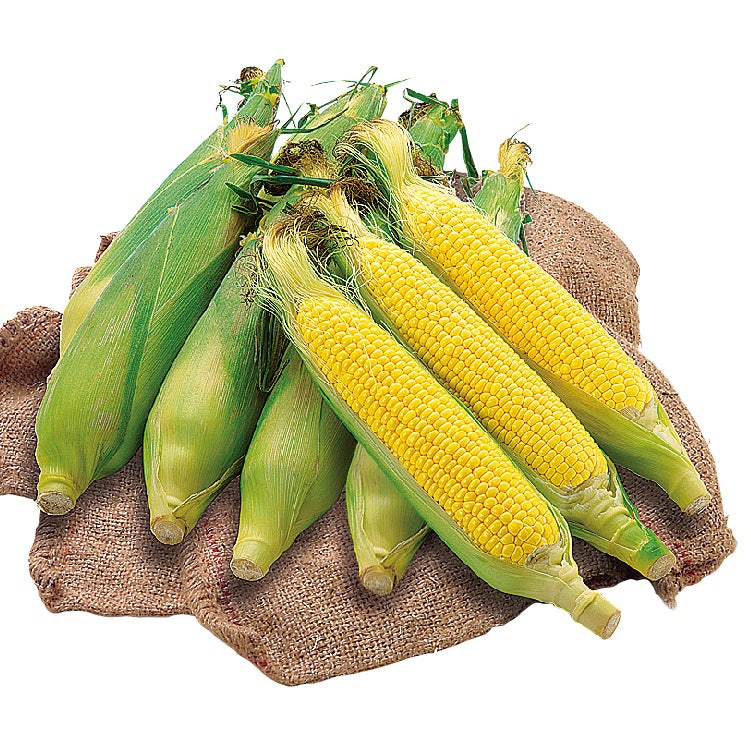YELLOW CORN ★絶版品★ BIGPACK YE-12【イエローコーン】 楽天市場】☆送料無料☆YELLOW CORN NEW RIDE NJ-4301