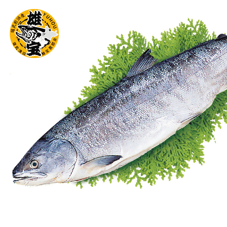 M15新巻鮭 M15新巻鮭 M15新巻鮭 M15新巻鮭 新巻鮭（荒巻） 【業務用食材の