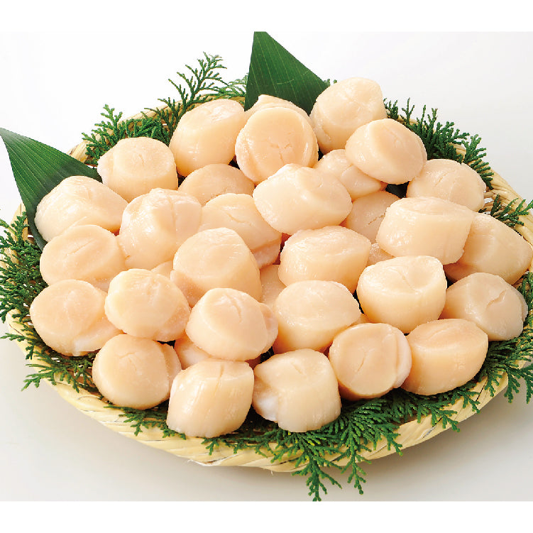 貝 宝石のような輝きはまるでアクセサリー。約100種のデザインから