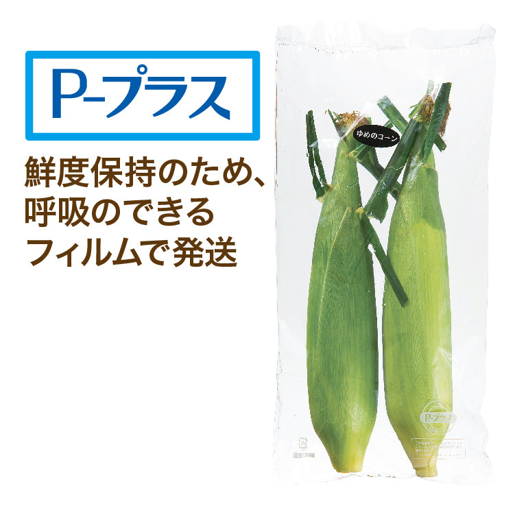 とうきび食べ比べセット（L／10本）
