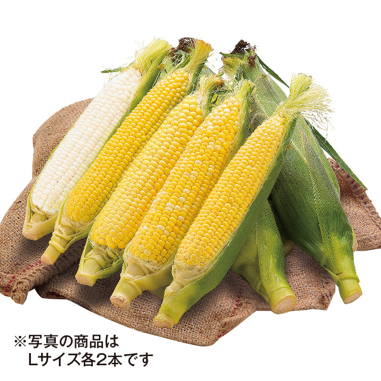 とうきび食べ比べセット（L／20本）