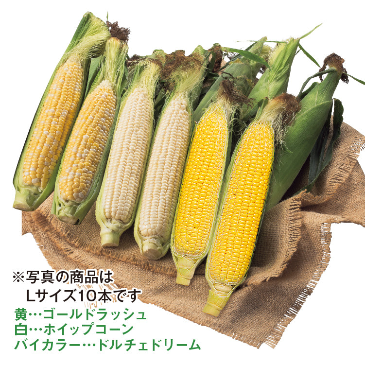 とうもろこし3種セット（L／10本）