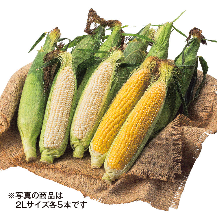 林さんの恵味ゴールド＆雪の妖精（2L／各5本）
