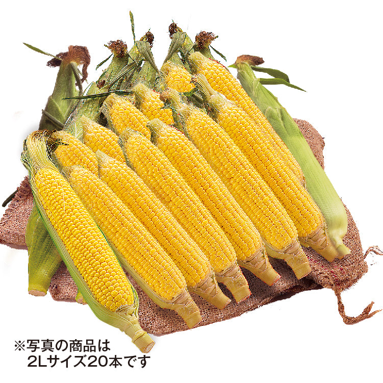 林さんの恵味ゴールド（2L／20本）