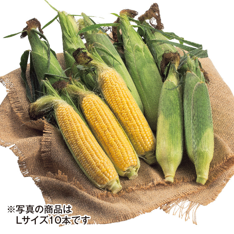 滝さんの味来コーン（L／20本）
