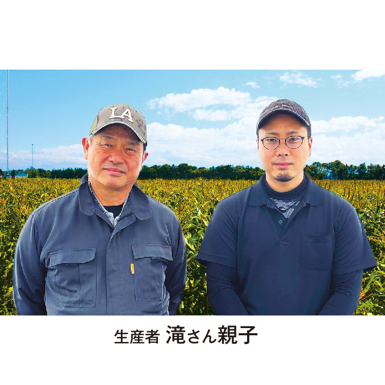 滝さんの味来コーン（L／20本）