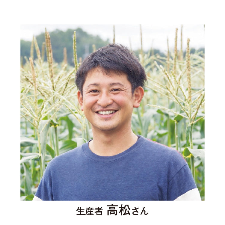 高松さんの早出しイエローコーン（L／10本）