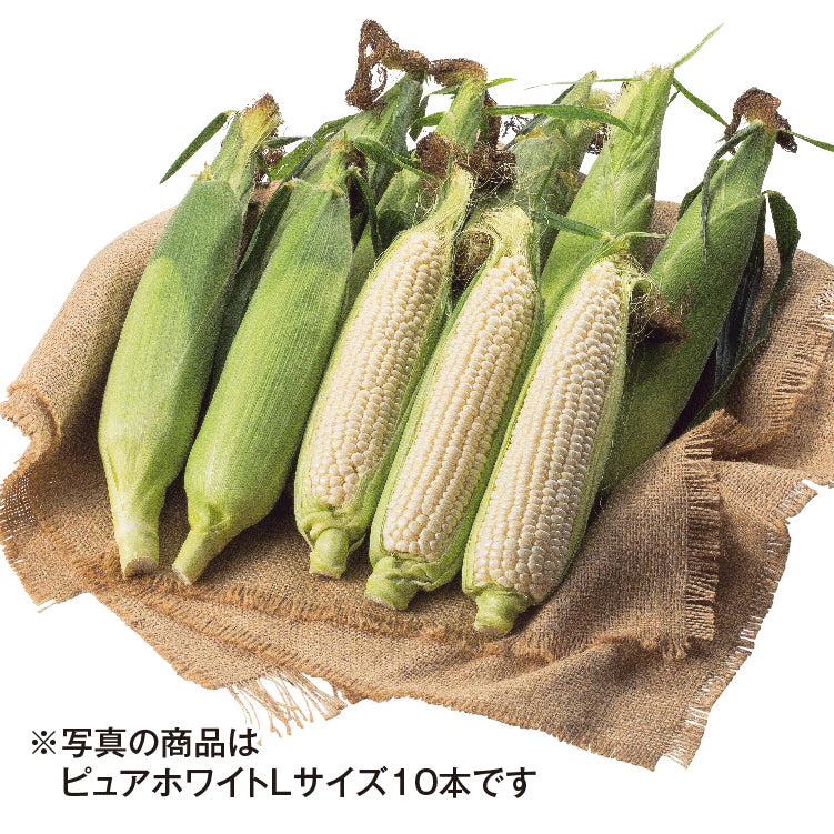 ピュアホワイト（L／10本）