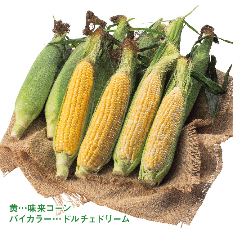 味来＆ドルチェドリーム（L／各5本）