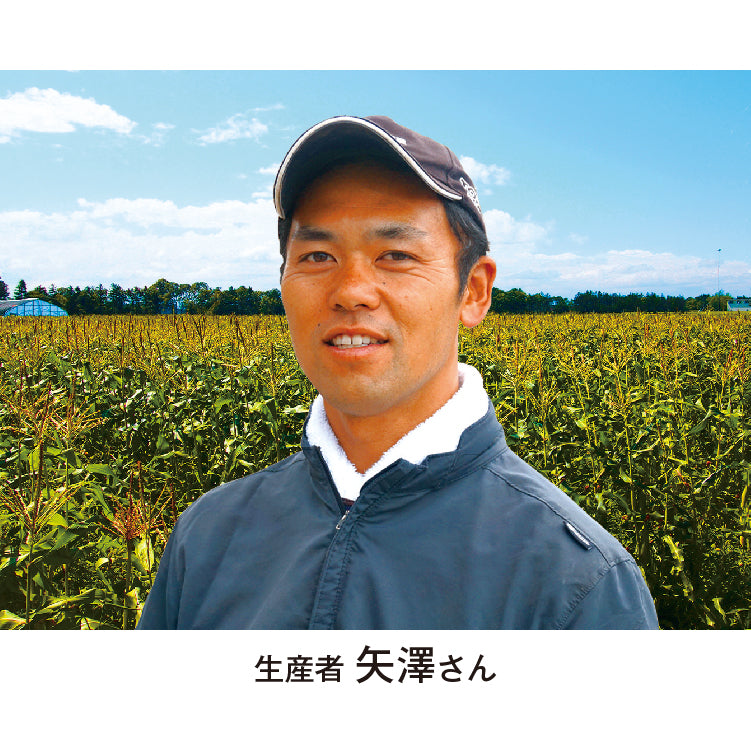 矢澤さんちのほしつぶコーン（2L／10本）
