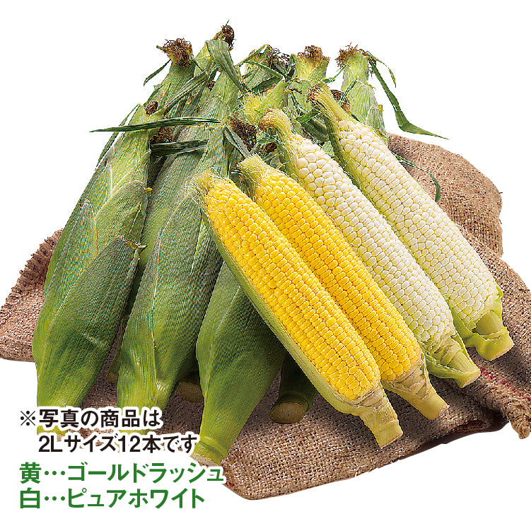 ゴールドラッシュ＆ピュアホワイトセット（2L／各6本）
