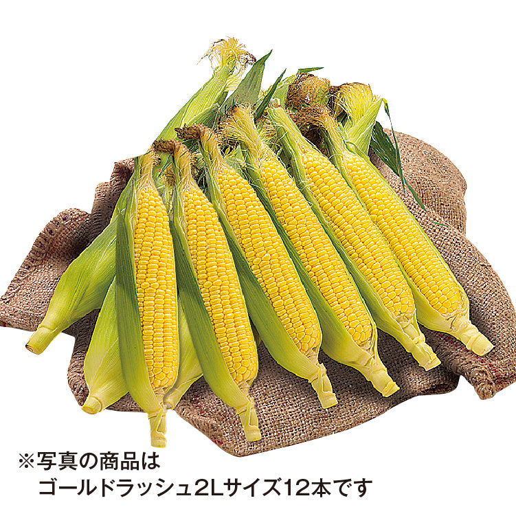 ゴールドラッシュ（2L／12本）