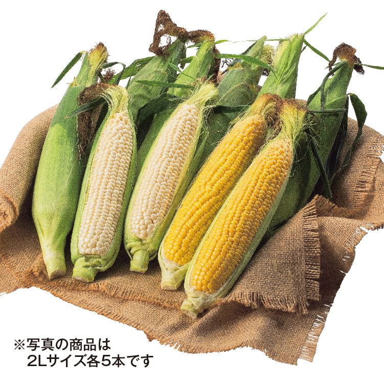 イエローコーン＆ホワイトコーンセット（2L／各5本）