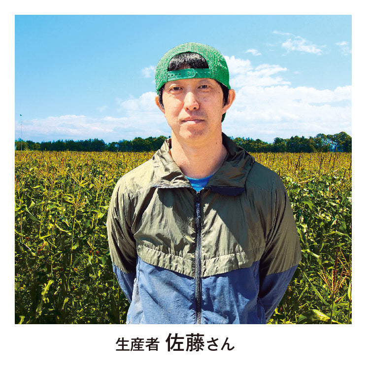 味来コーン（2L／13本）
