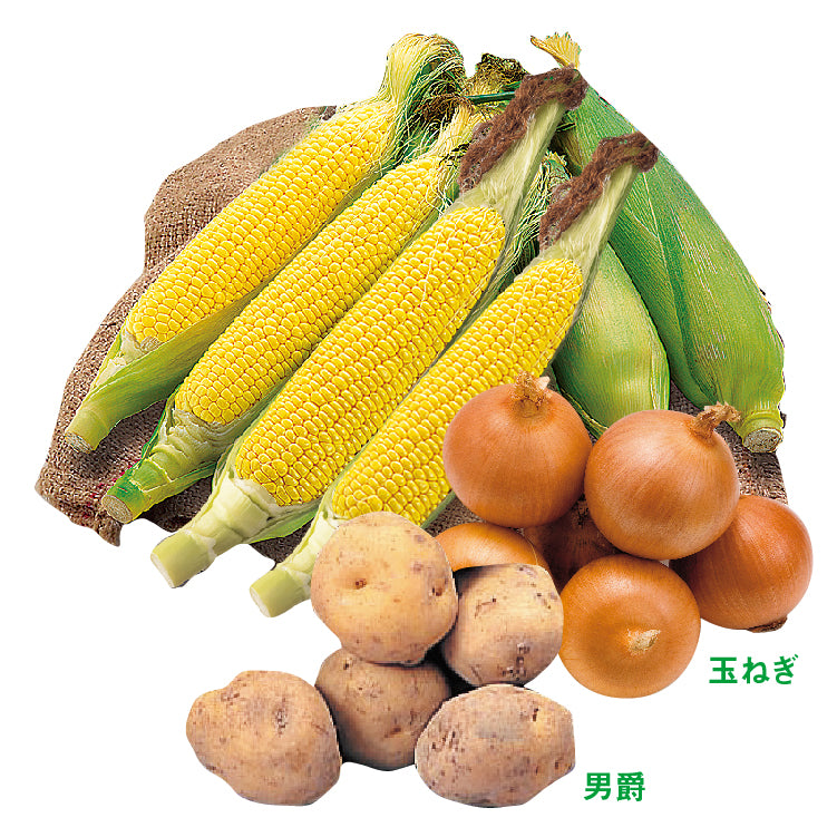 とうきび6本・男爵・玉ねぎセット（L／6本）