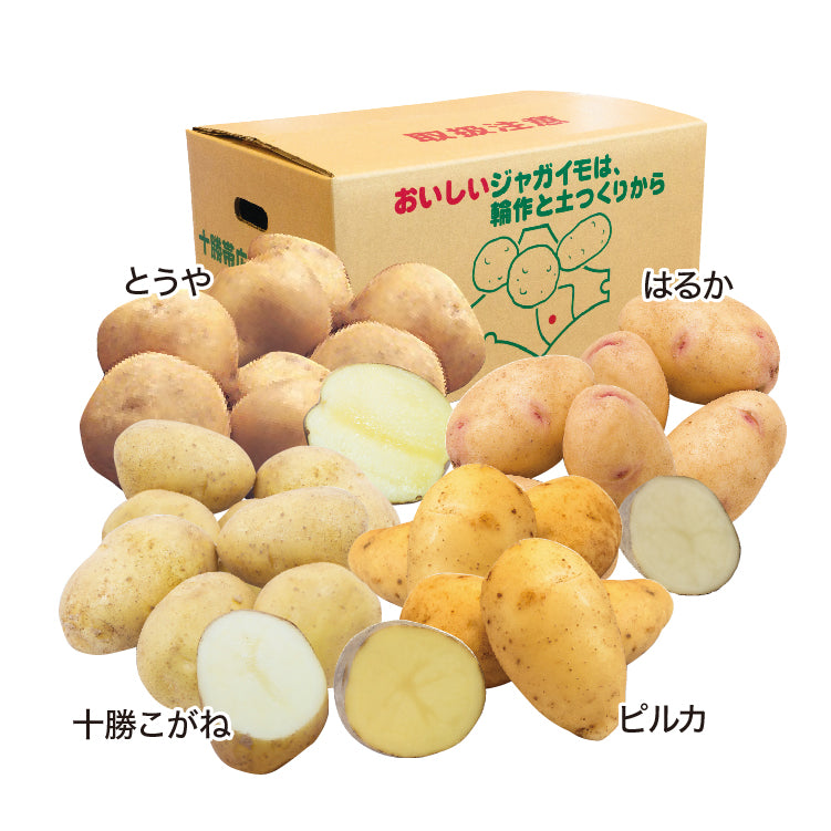 中藪農園じゃがいも４点セット