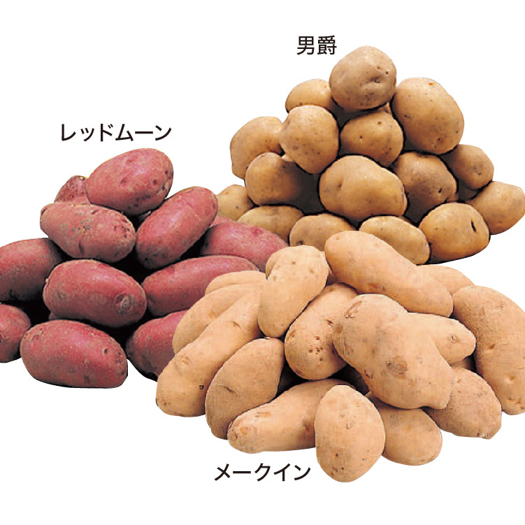 紅白馬鈴しょセット