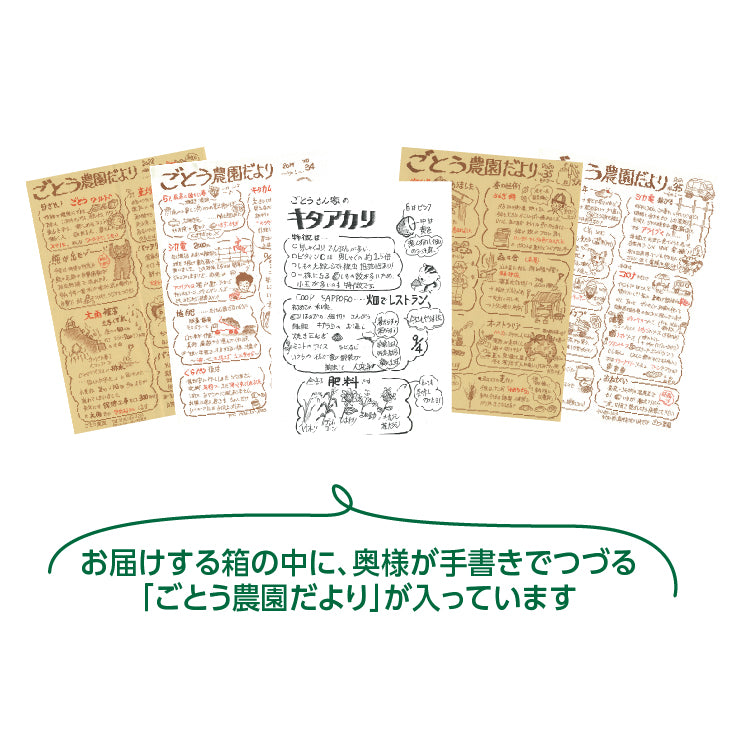 
                  
                    キタアカリ＆とうや
                  
                