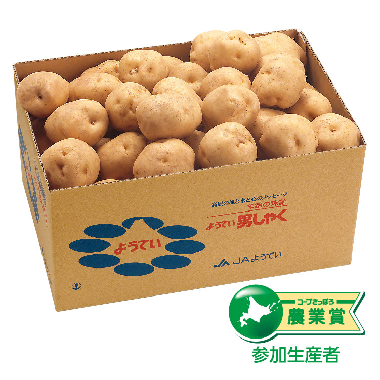 男爵（JGAP）