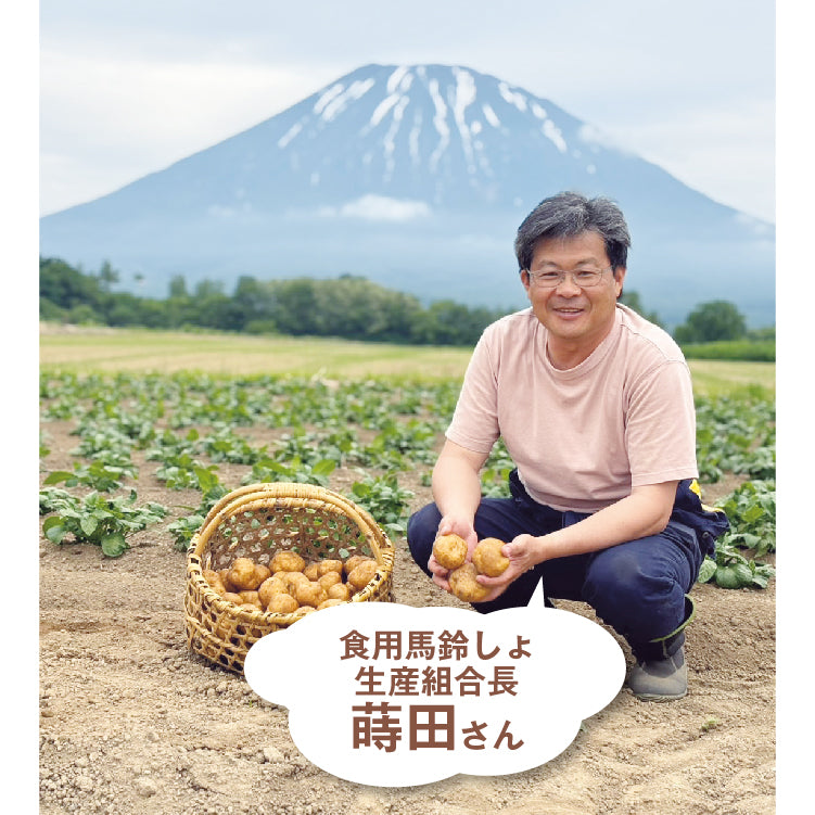 男爵（JGAP）