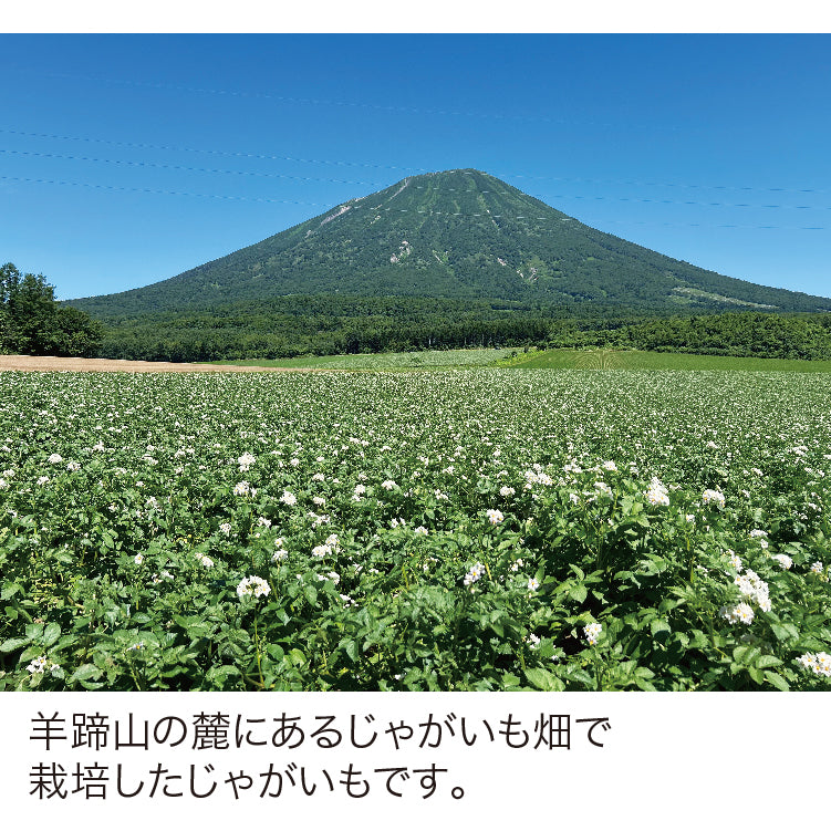 
                  
                    真狩産きたあかり
                  
                