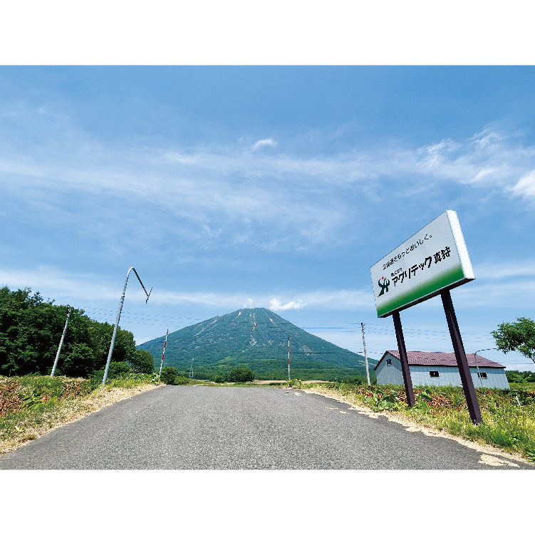 
                  
                    真狩産とうや
                  
                