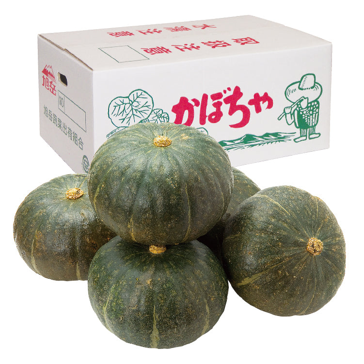 くりゆたか南瓜１０kg