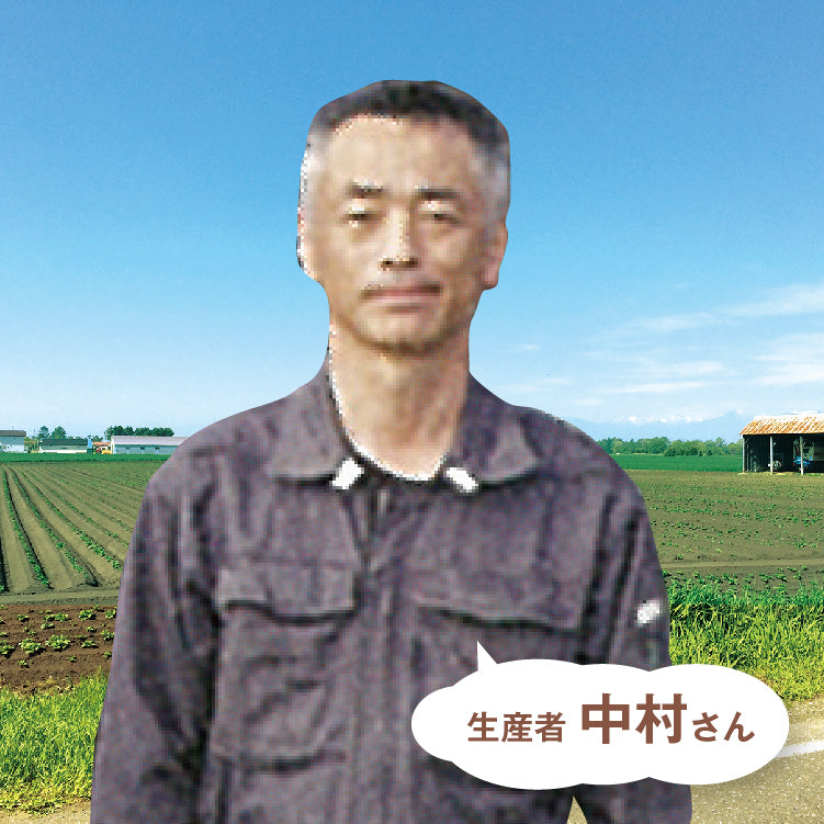 新篠津産有機栽培玉葱