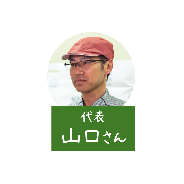 長沼あいすのアイスセット ８個