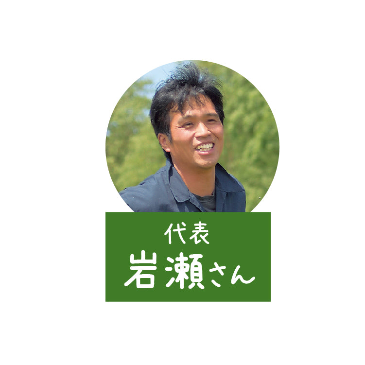 岩瀬牧場のアイスセット ８個