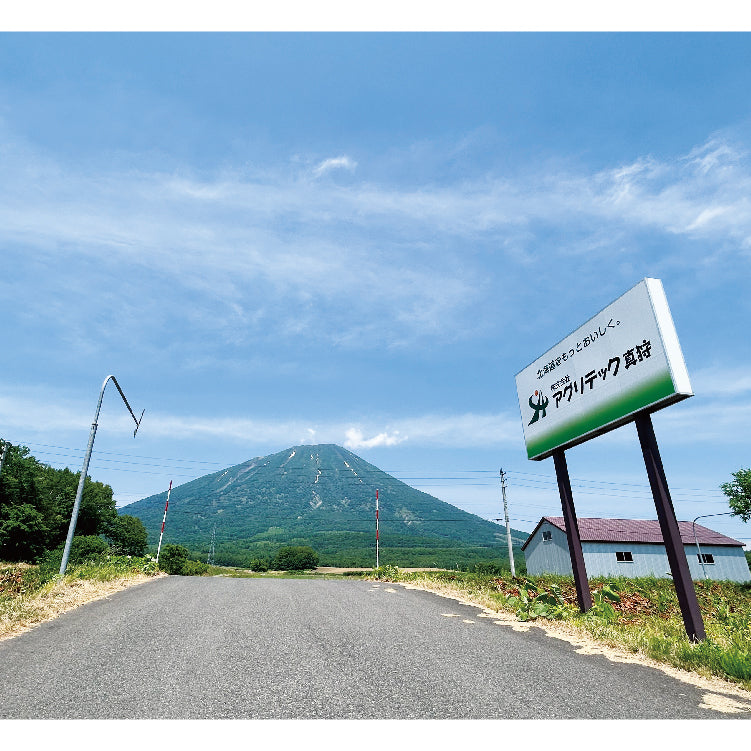 厳選北海道産玉ねぎ