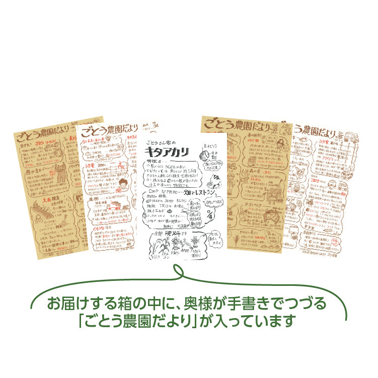 ごとうさん家のキタアカリ＆とうや