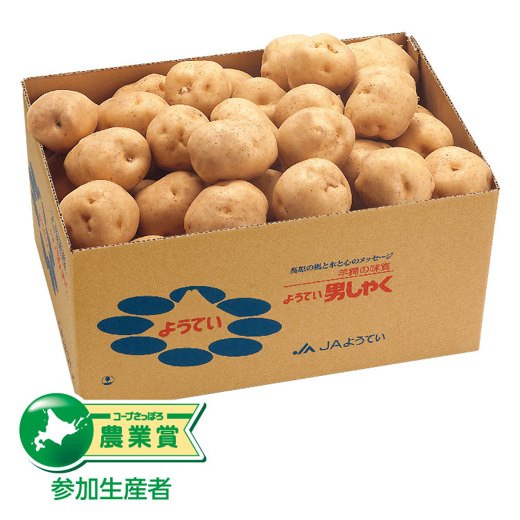 男爵（JGAP）
