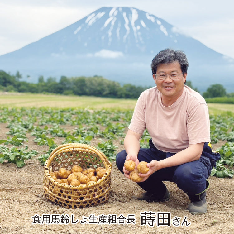 男爵（JGAP）