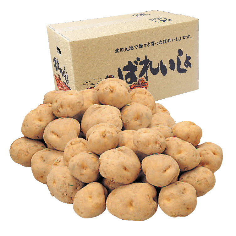 男爵10kg