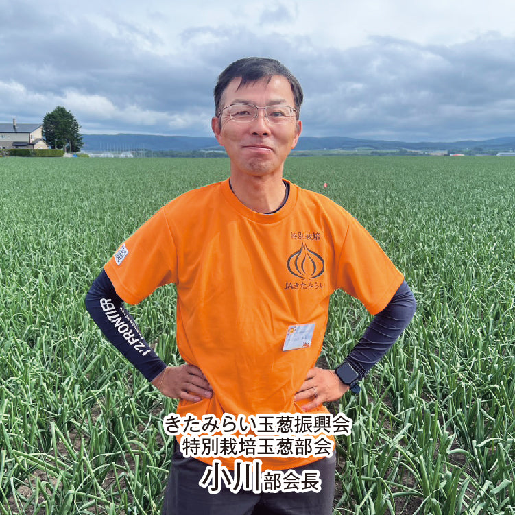 特別栽培玉葱「環」