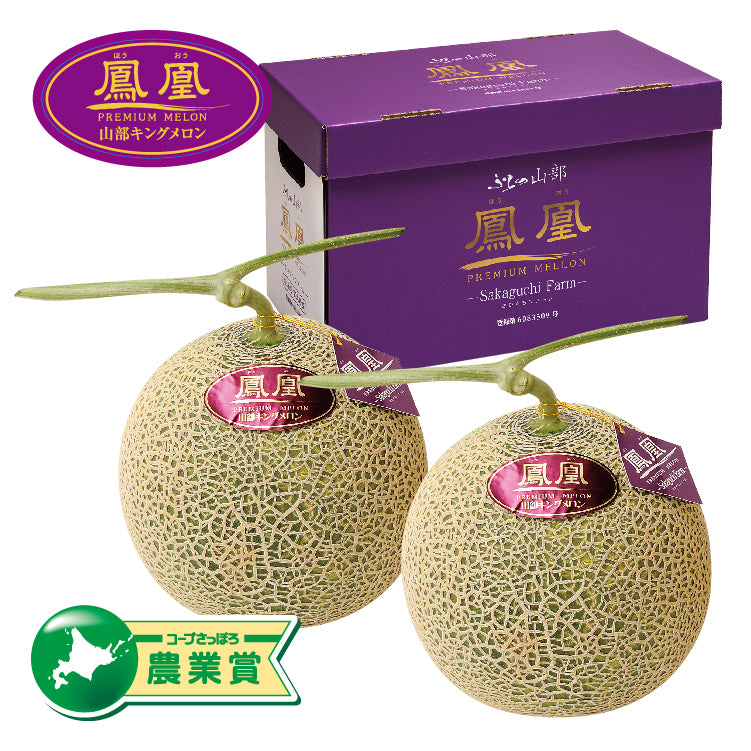 鳳凰メロン秀品2L2玉