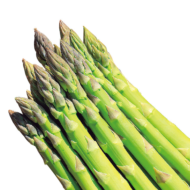 夏どりアスパラ（2L～L／800g）