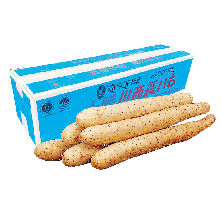 川西長いも（洗い）5kg