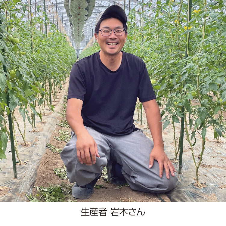 岩本さんの高糖度大玉トマト