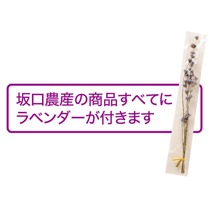 鳳凰メロン秀品3L2玉