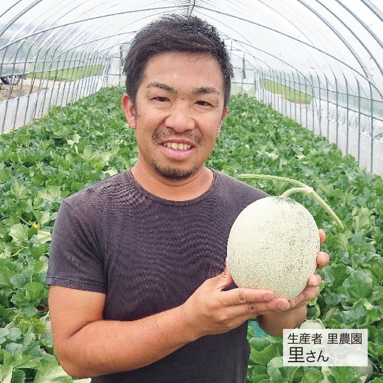 里農園のメロン3L2玉
