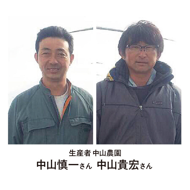 中山さんのふらのメロン 秀品2L2玉