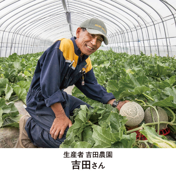 特秀品赤肉・青肉セット