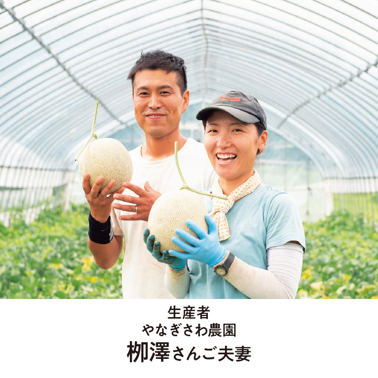 カルデラ青肉メロン2玉セット特秀品2L
