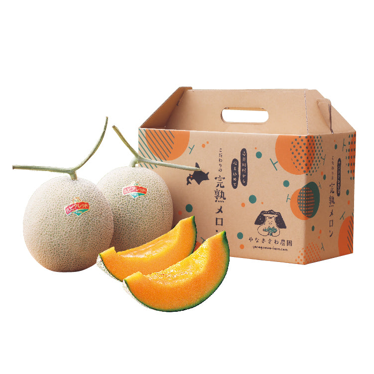 カルデラ赤肉メロン2玉セット特秀品2L