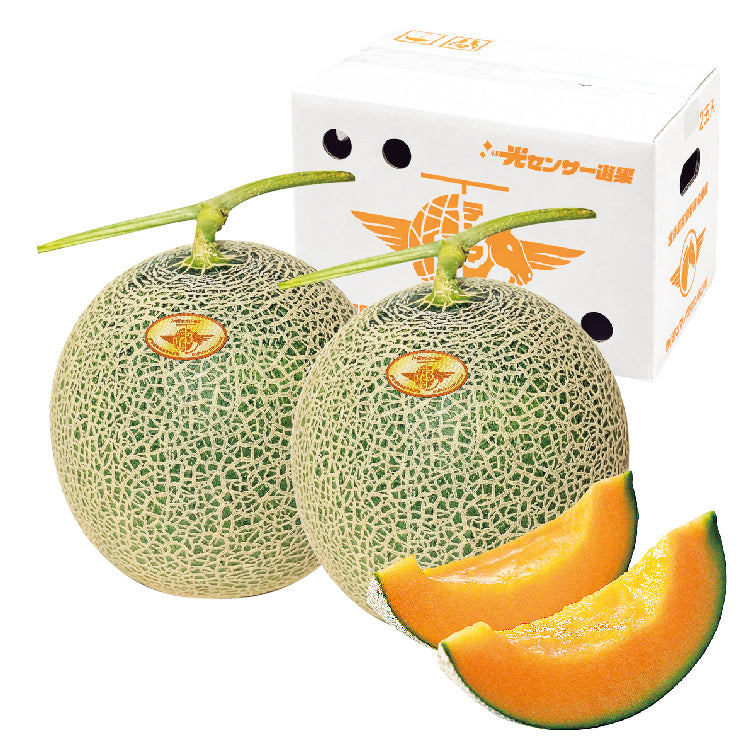 天間さんたちのふらのメロン糖度保証 秀品2L2玉