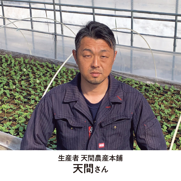 天間さんたちのふらのメロン糖度保証 秀品2L2玉