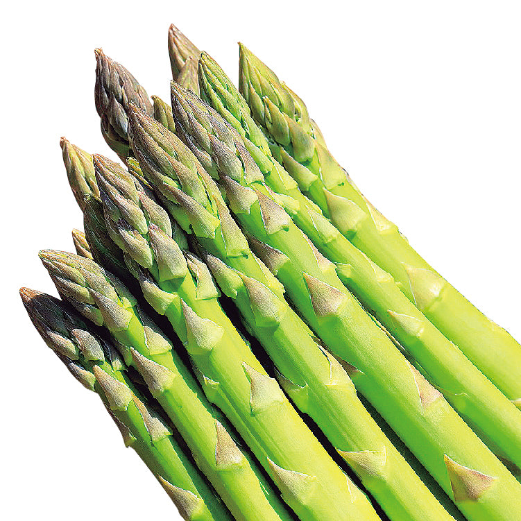 夏どりアスパラ(2L~L/800g)